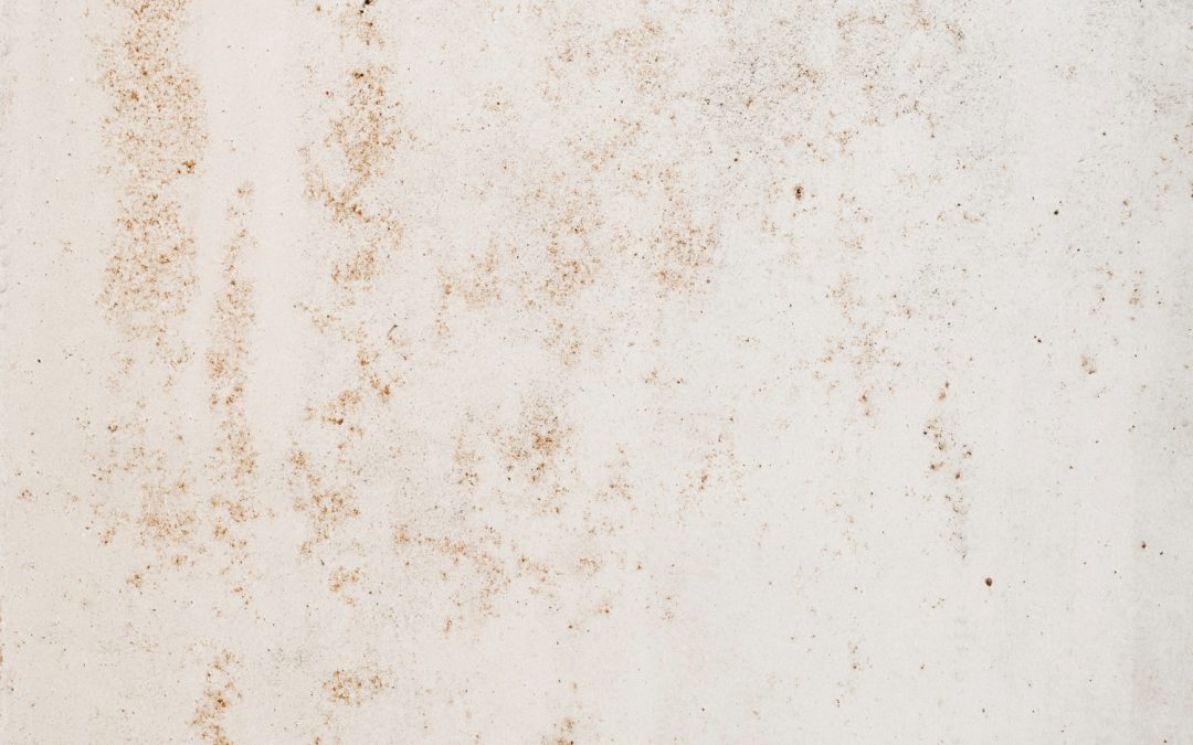 Common Signs of Mold in Homes and How to Address Them